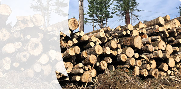 Production Reporting