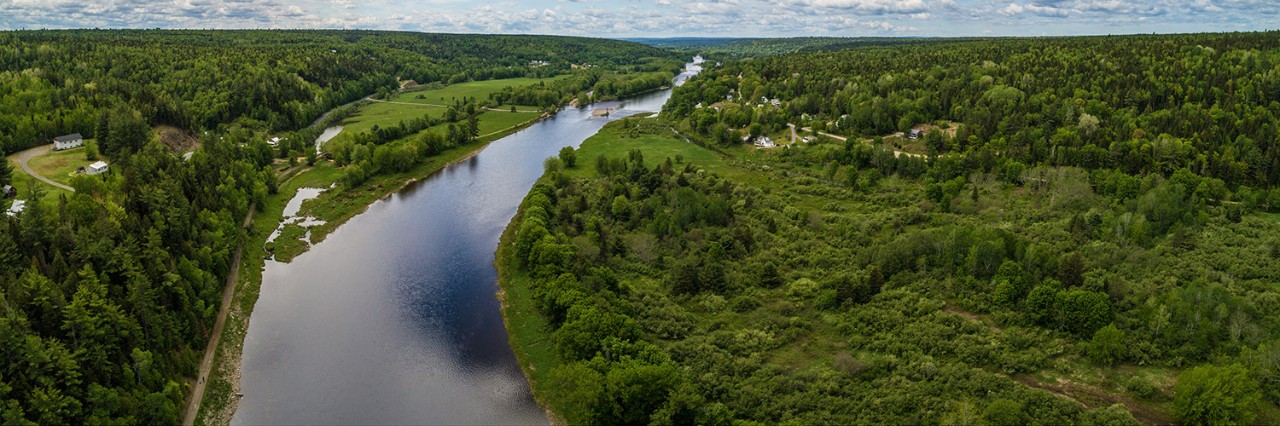 investigation-appeal-category-2