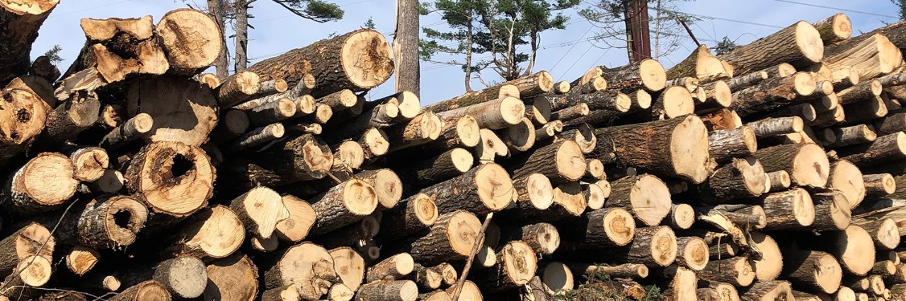 publications-category